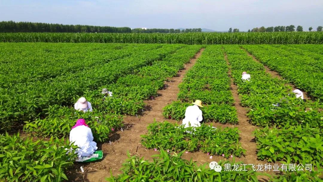 1640655508682311.jpg 4.jpg