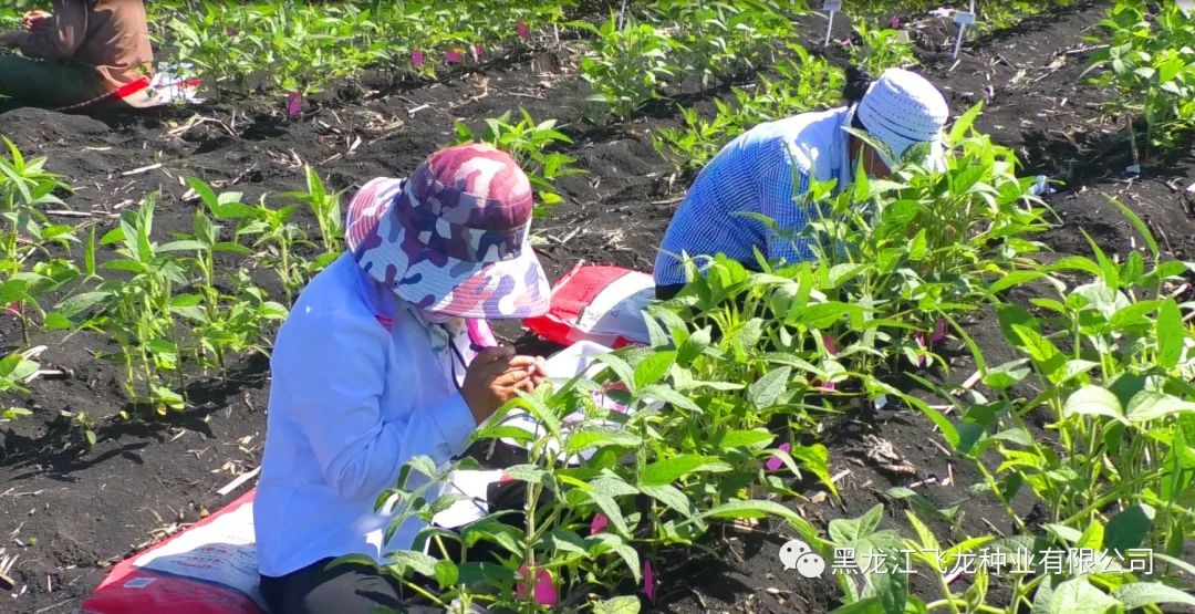 1658970515140507.jpg 5.jpg