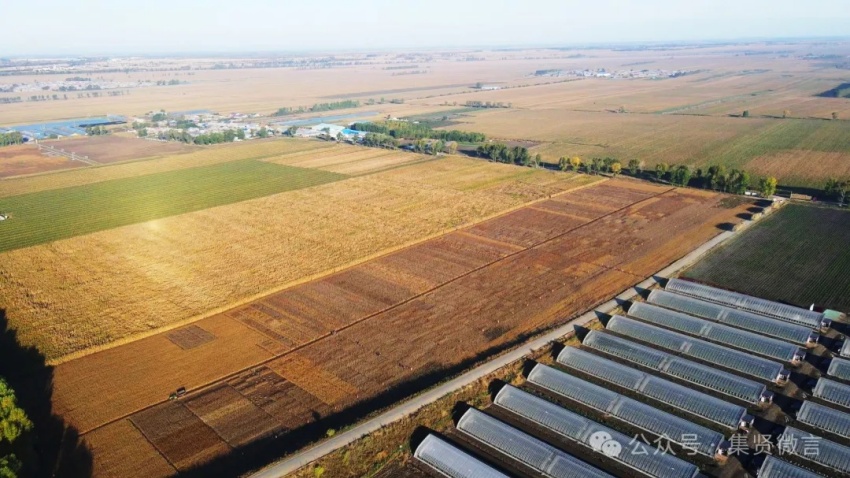 1732324229791397.jpg 2.jpg